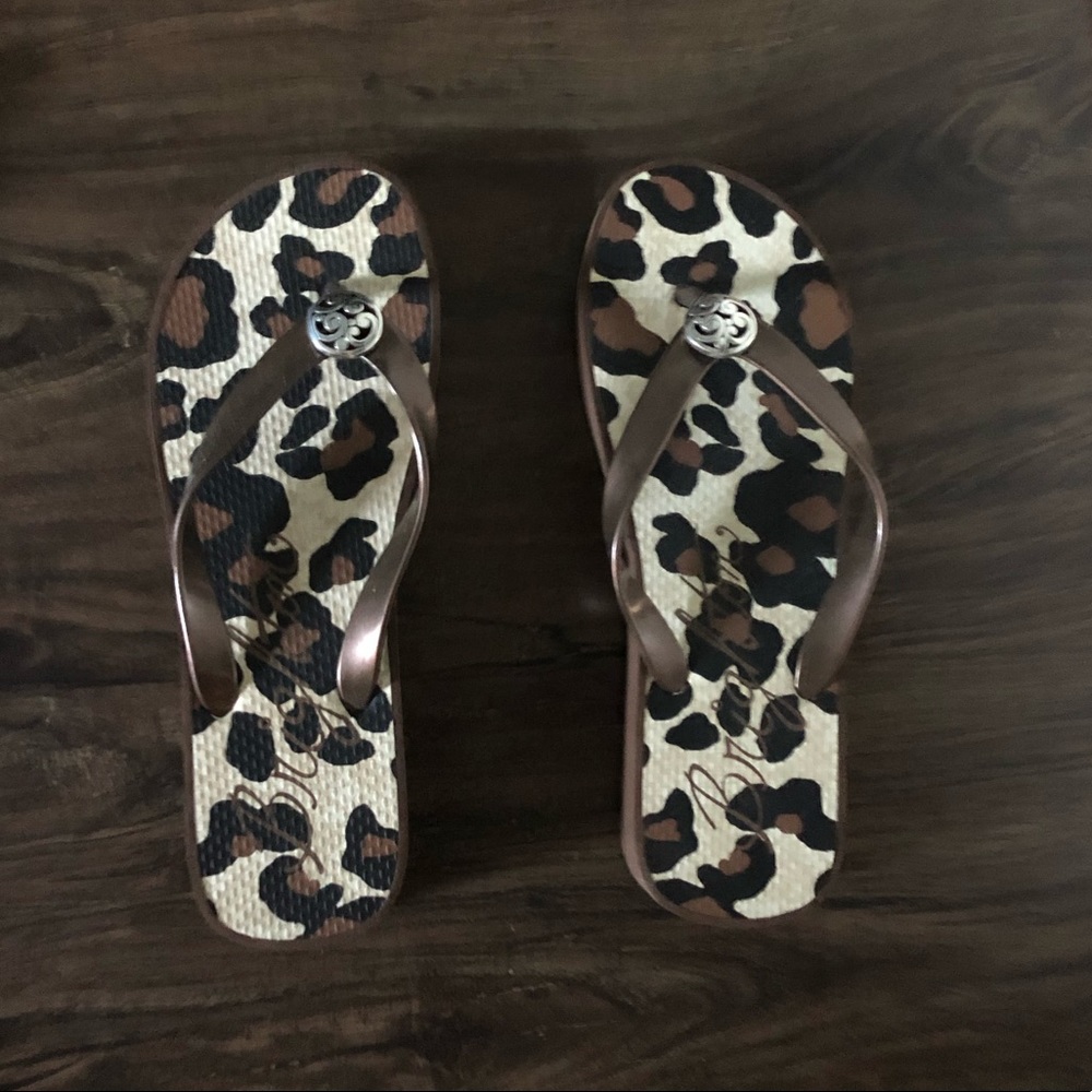 Leopard print Brighton flip flops